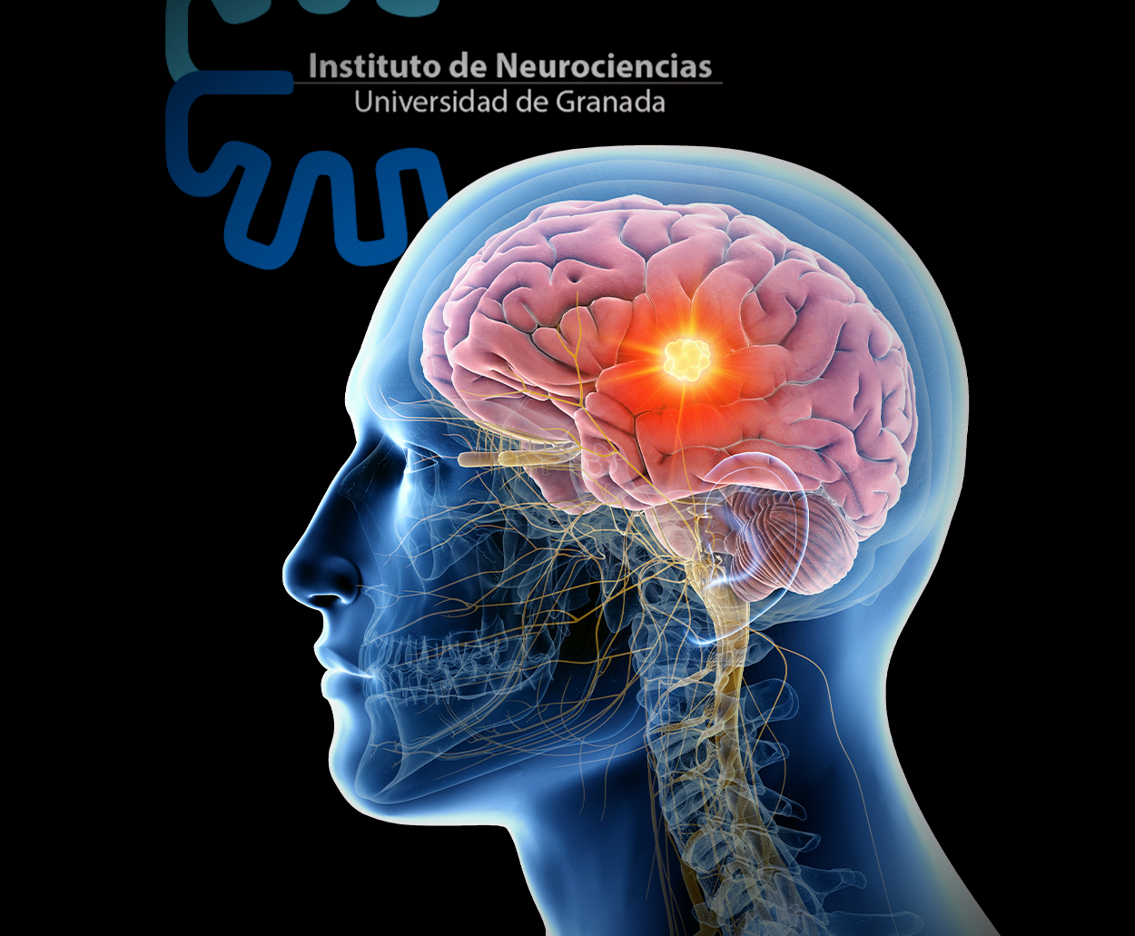 Instituto de Neurociencias Federico Olóriz