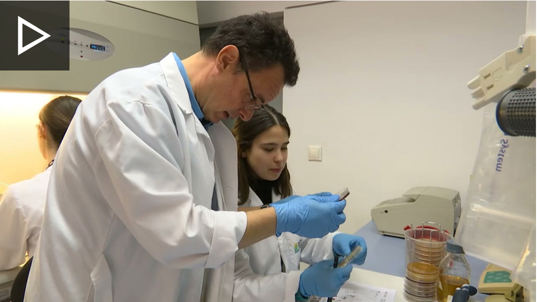 Investigadores de la Universidad de Granada buscan paliar el Alzheimer o la depresión con la microbiota.